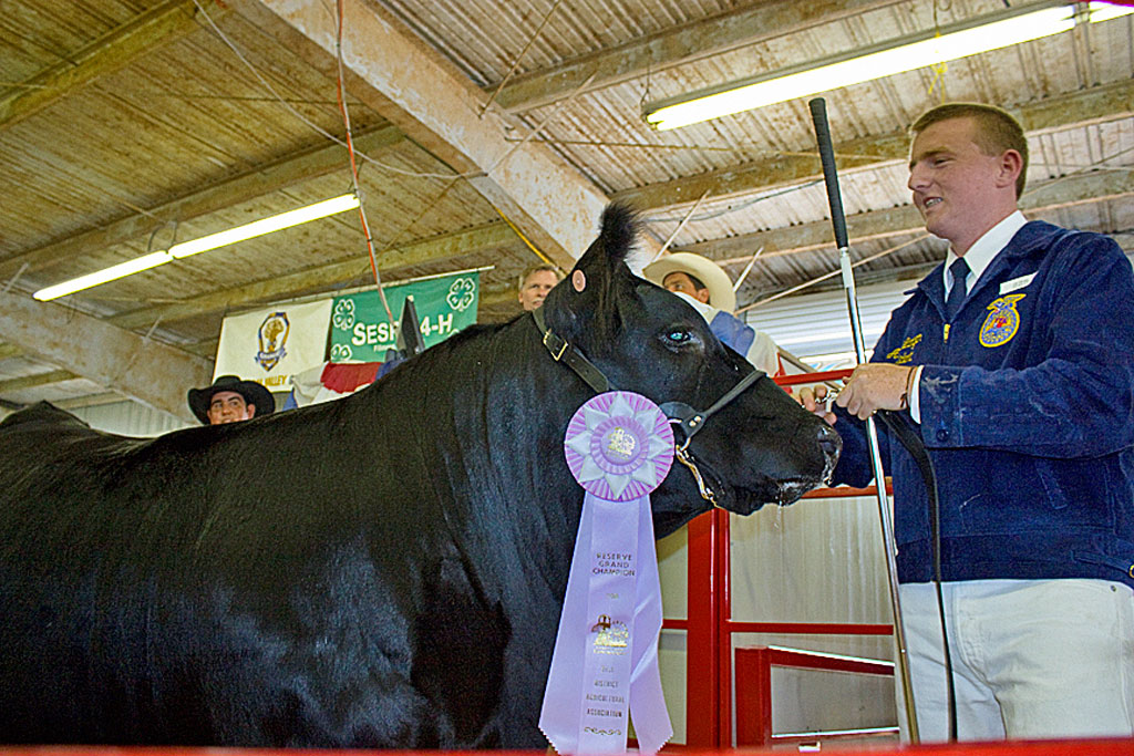 Ventura-County-Fair-03-Aaron_Largen_in_auction_ring.jpg