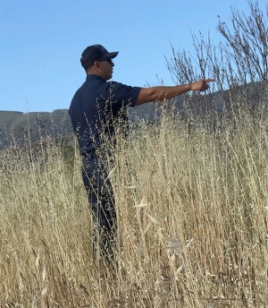 On February 3, the City of Fillmore Fire Department launched it’s annual Weed Abatement Program in their efforts to reduce wildfire risk and protect the community. Above is a Fillmore firefighter surveying the fields from a previous weed abatement event. Photo courtesy Fillmore Fire Chief Keith Gurrola.