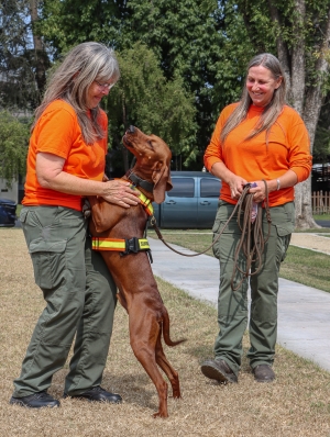 On Friday, July 12th, Fillmore Library hosted Ventura County Search & Rescue K9 Team (VCSARK9) Members Lisa Hammond and Virginia Feyh (and her K9 Huck) as they spoke with the kids enrolled in the Summer Reading Program about “Hug A Tree and Survive”. Photo credit Angel Esquivel-Firephoto_91. 