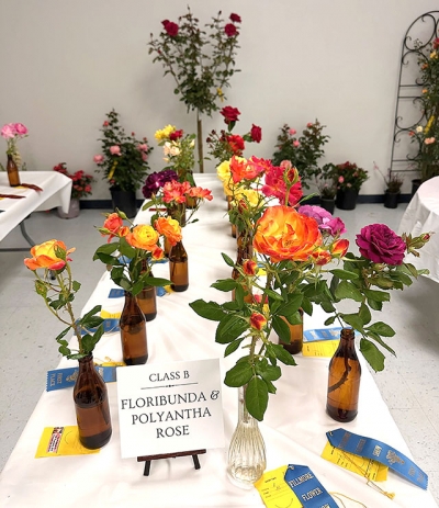 Above are some Class B entries, Floribunda & Polyantha Rose arrangements. Photo credit Gazette staff.