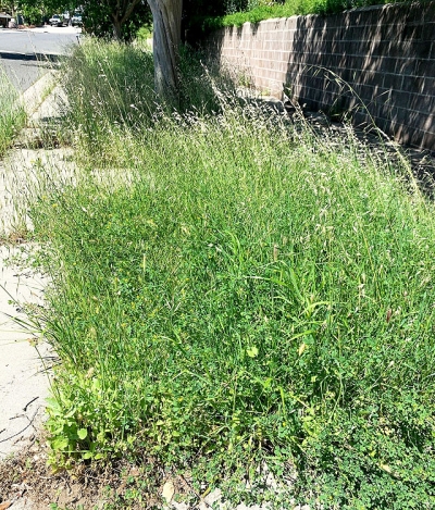 Stock photo courtesy Fillmore Fire Department