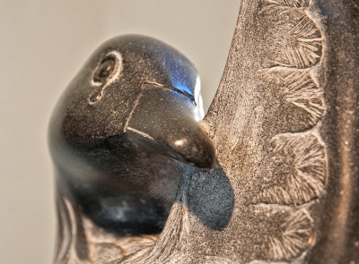 Oil Bird Detail Photo by Myrna Cambianica.