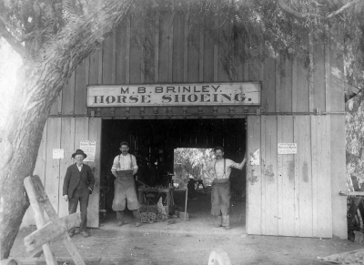M. B. Brinley Horse Shoeing, circa 1910.