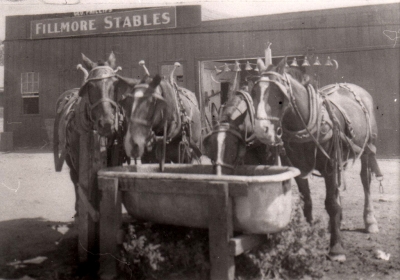 Horse team being watered outside Fillmore Stables circa 1900.