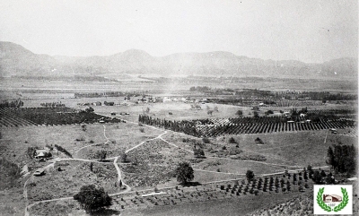 Fillmore from Foothill, 1903.