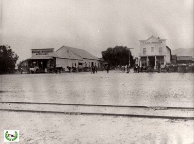 Stephens and Harmonson stores, circa 1895.