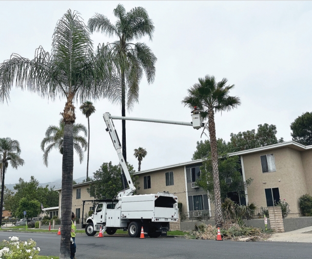 The City of Fillmore continues to improve the “Last, Best Small Town in Southern California” with tree trimming and street repair at Santa Clara and Fillmore Street. Photo credit Gazette Staff.