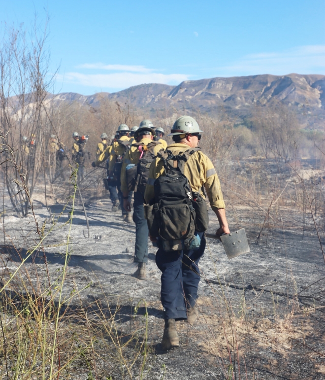 On Monday, September 1st, at 4:14 p.m., Fillmore Fire Department and Ventura County Fire responded to a 100x100 spot fire in the Santa Clara riverbed that was spreading slowly. A copter was requested but cancelled due to a forward progress stop. About two hours later, the Fillmore City Fire Department responded to the same place as before to cool down the hotspots. Cause of the fire is under investigation. Photo credit Sebastian Ramirez.