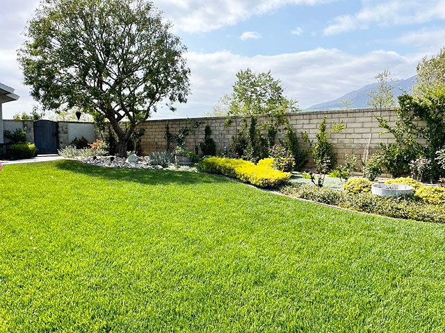 Fillmore Civic Pride volunteers have selected the April 2025 Yard of the Month at 439 Mallard as the winning yard. Owners Ayna (Anna) & Peter Scamardo received an award from Otto & Sons Nursery. Photo credit Linda Nunes.