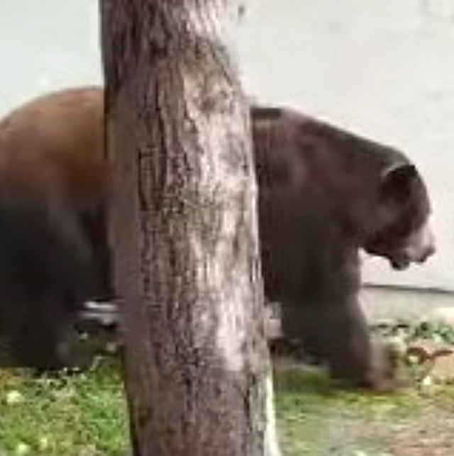 Photo courtesy https://www.facebook.com/cityoffillmore