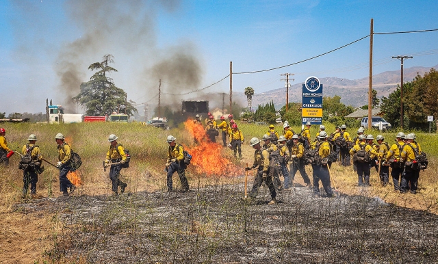 Fillmore Fire Department was one of several agencies that took part in a controlled burn on Thursday, June 12th. Photo credit Angel Esquivel. See more photos online.
VCFD & LAFD crews in training. Photo credit Angel Esquivel.