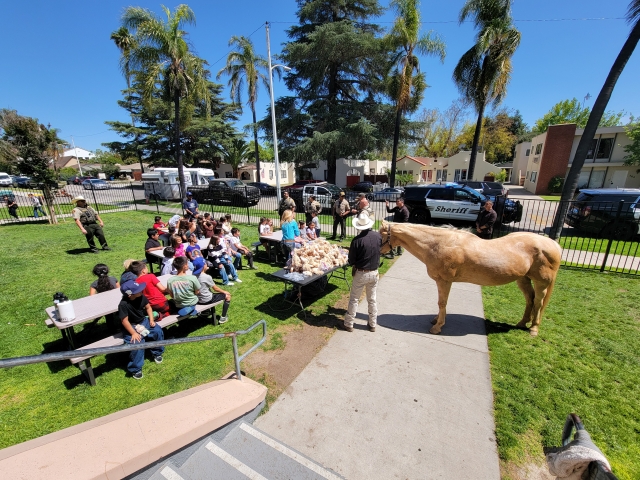 On Wednesday, May 14th, 2025, the Fillmore Boys and Girls Club of SCV had some special visitors. The Ventura County Sheriff’s office stopped by and gave a presentation on how they utilize horses in law enforcement. Students listened, asked questions and greeted officers, and got to take home a stuffed toy horse!
