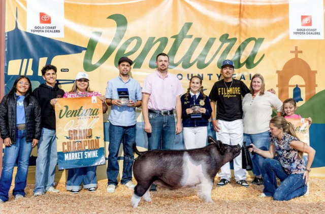 Congratulations to Olivia Nava and Preston Spiker for winning Supreme and Reserve Market Champions.