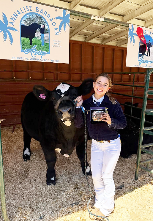 Congratulations Annalise! Annalise Barragan, pictured right, won FFA Market Steer Champion, and a well-deserved buckle. As an FHS alumni this is her last year showing.