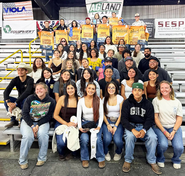 Congratulations Fillmore FFA! Ten banners, 14 buckles, and a load of fun at the Ventura County Fair. Congratulations to Annalise Barragan-FFA Advanced Streer Showman 2025; Olivia Nava-FFA Advanced Swine Showman Champion; Holly Parrish-Novice FFA Swine Showman Champion; Olivia Nava and Preston Spiker-Supreme and Reserve Market Champions; Kristina Budia-Reserve FFA Market Goat; Olivia Nava for receiving the VC CWA Youth Exhibitor Scholarship; Alejandra Robles-Grand Champion Market Rabbit Pen, FFA Market Rabbit Champion and Novice Showman Champion; Lexie Gonzalez-FFA Reserve Champion Market Rabbit Pen; Anne Cabrales; Senior and Overall Champion Rabbit Showman; Elena Magana-Grand Champion Pygmy Goat and Champion Showman; Zitlaly Diaz, Brooke Nunez, Yosie Cruz, & Annalise Barragan-Swine Projects; Anel Castillo-Goat Project; Andy Torres- Senior Lamb Showmanship & Champion Market Lamb; Master Showman: Independence Classic Winners for Swine, Steer, and Goats- Sr. Olivia, Novice Alysson, Jonny, Sr. Annalise, & Novice Randy Lynn Davis. See Photos and additional information on Instagram @Fillmore.FFA. Additional Fair Photo may be viewed at https://whitneywhitaker.smugmug.com/Livestock-Images/2025/Ventura-County-Fair.