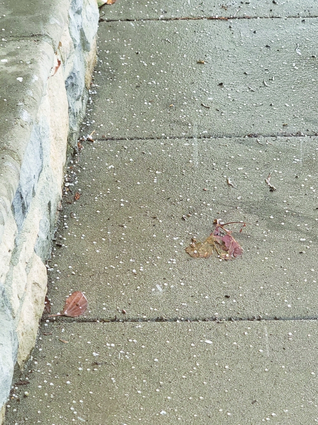 On Sunday afternoon, January 26, 2025, Fillmore got its first dose of hail for the new year, with the cold weather and rain coming in over the weekend. For about 3-5 minutes residents reported hail falling throughout the Fillmore area.