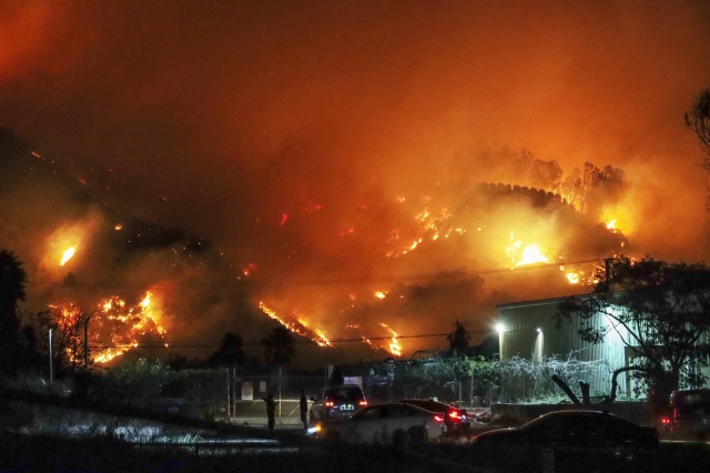 The Mountain Fire has burned nearly 21,000 acres by Tuesday morning, destroying approximately 130 structures, and 88 structures have been damaged. Starting in the Balcom Canyon area and progressing heavily west to the north and south, the Santa Ana winds remain a concern. Photos taken near Santa Paula. Photo credit Angel Esquivel.