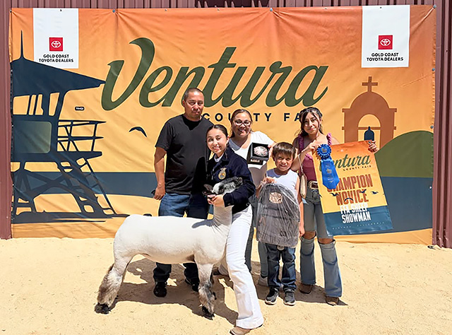 Congratulations Fillmore FFA member Yaretzi Garcia for winning Champion FFA Novice Showman.