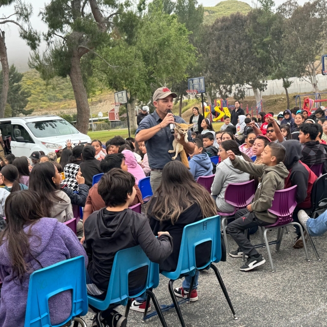 On May 20, 2024, the Piru Condors started the week with a wildlife presentation! Students learned about the importance of protecting the habits of endangered species as well as facts about the animals they saw.  Thank you, Meghan of Ventura County Library, for bringing this exciting opportunity to our Piru students! Courtesy https://www.facebook.com/photo?fbid=1188511565454683&set=pcb.1188516302120876.

