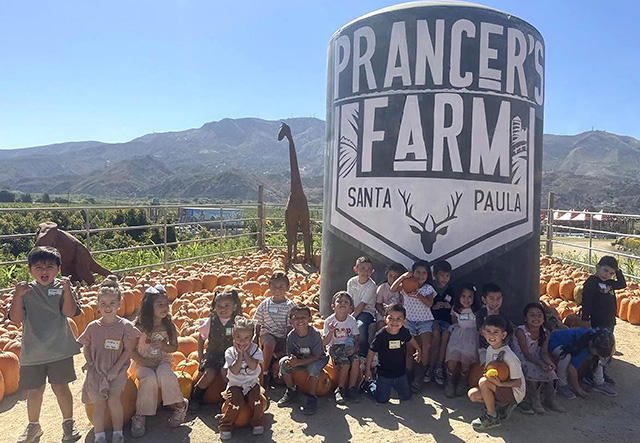 Piru TK and Kindergarten students had an amazing time visiting Prancer’s Farm! They enjoyed a wonderful hands-on learning experience filled with exploration, excitement, and lots of smiles. A special thank you to FFA and Prancer’s Farm for providing our little Condors with such a memorable experience. We are so grateful for our community partners who help bring learning to life! Posted October 2 at 8:41 pm, courtesy https://www.facebook.com/photo?fbid=1899628947676271&set=pcb.1899629074342925.
