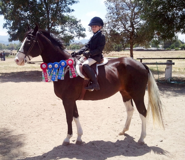 Jillian Morris of Fillmore. Jillian is of the members of the new Kings Corner Pony Club Riding Center.