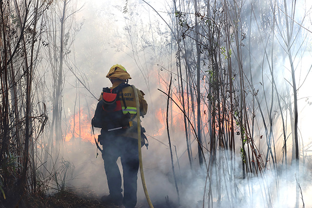 Photo credit Sebastian Ramirez.