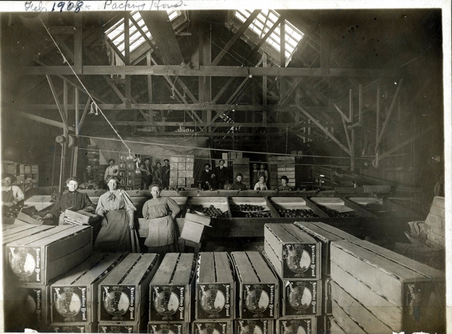 Sparr Packing House c. 1908
