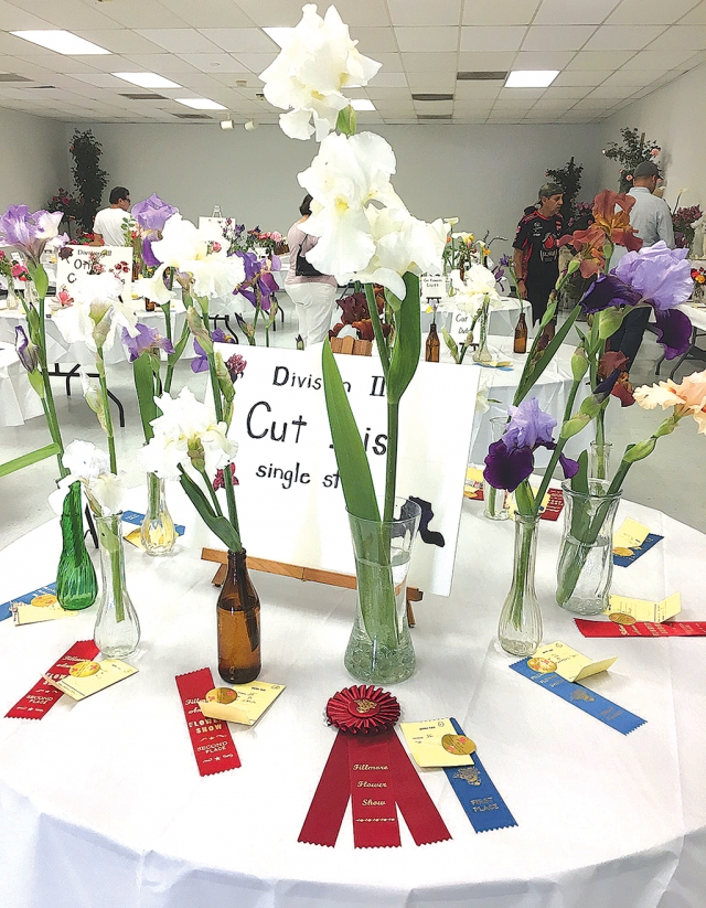 Bouquets and arrangements