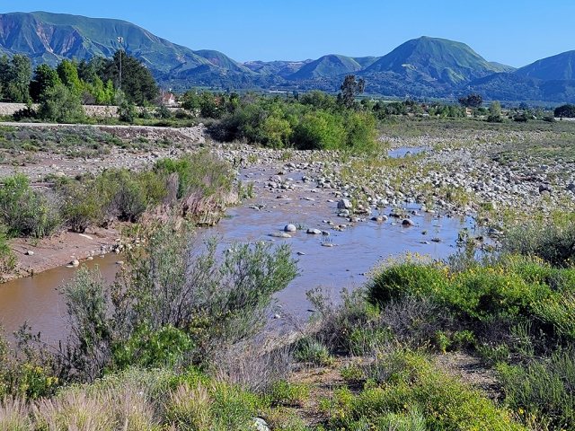 On Monday, March 28th, after a day of heavy winds and rain, the Mighty Sespe River is flowing well. Fillmore received about 2.13 inches of rain and Piru received 1.53 inches in the last 5 days according to the Ventura County Watershed Protection as of Wednesday, March 30th 10:02 a.m.