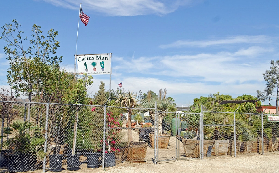 July 30, 2010 at approximately 2:00p.m., suspects: #1 Unknown, Hispanic male, shaved head, 5’-6”, heavy build approx. 200 lbs., wearing black rimed glasses, black hoodie, blue/gray checkered shorts and black Converse, 28 years and #2 Unknown, Hispanic male, 5’-7”, approx. 190 lbs., short black hair, wearing blue Dodgers baseball cap, sunglasses, black sweat shirt, blue jeans, black Vans shoes, 25-28 years, entered the Cactus Mart, 3500 block Howe Road, Piru, and tied up the female victim, age 28. When the victim offered resistance to being tied up, suspect #2 displayed a black semiautomatic handgun. The suspects emptied the cash register and left in an unknown direction. The suspect’s vehicle was described as a shiny black 95 Toyota Corolla.