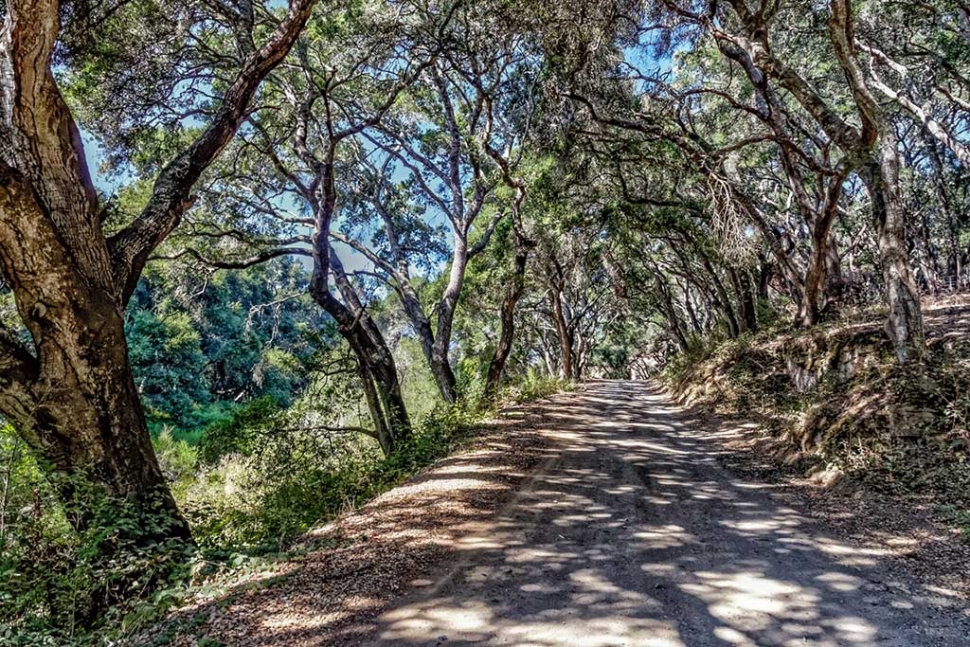 Photo of the Week "A delightful country road: Prefumo Canyon Road from See Canyon Road to San Luis Obispo." by Bob Crum. Photo data: ISO 1000, 16-300mm lens @16mm, f/10 @ 1/60 seconds.